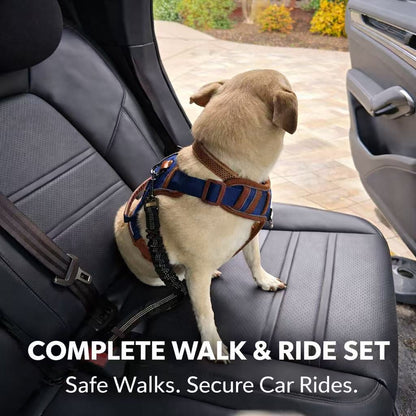 PawWave No pull Denim Dog Harness with Car Safety Leash set for daily stylish walks for small to Large Dogs
