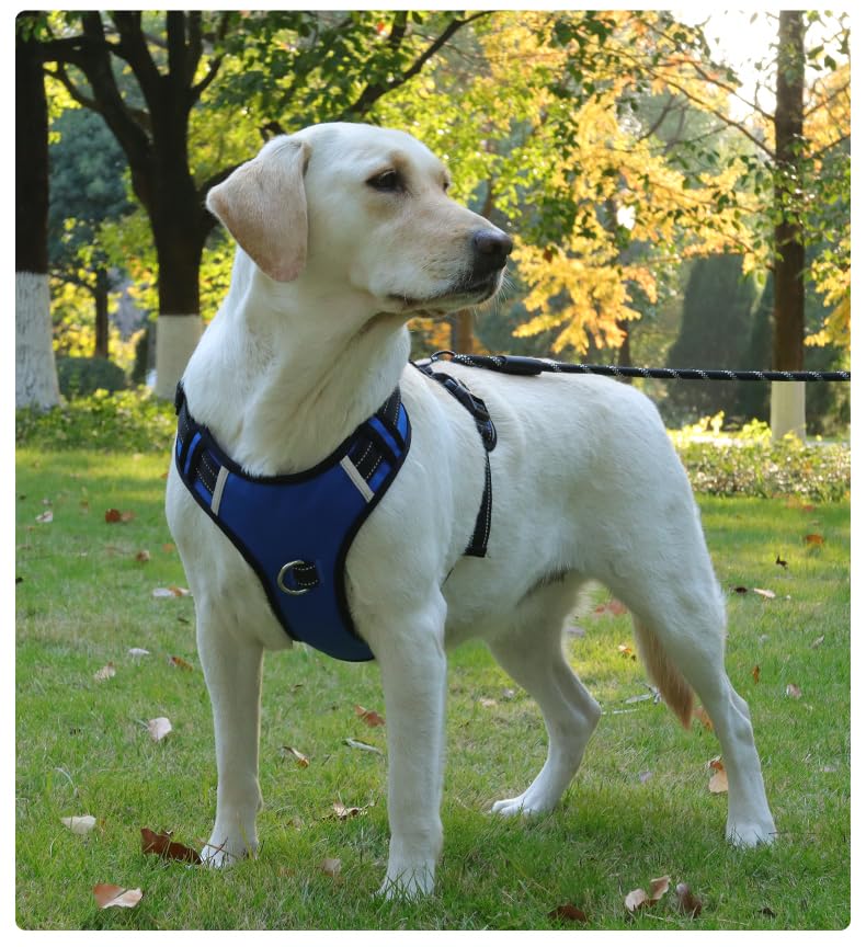 No-Pull Dog Harness with Safety Features, Reflective Stitching, Metal Ring, Blue and Black