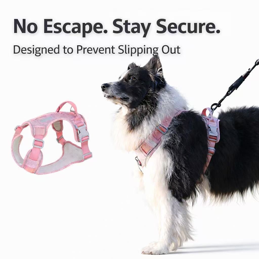 PawWave No Pull Dog Harness with Hidden Tracking Tag Holder– Soft Padded Reflective Vest plus Car Safety Leash set perfectly for small to Large Dogs