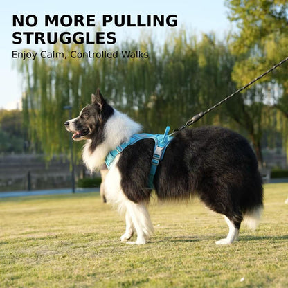 PawWave No Pull Dog Harness with Hidden Tracking Tag Holder– Soft Padded Reflective Vest plus Car Safety Leash set perfectly for small to Large Dogs