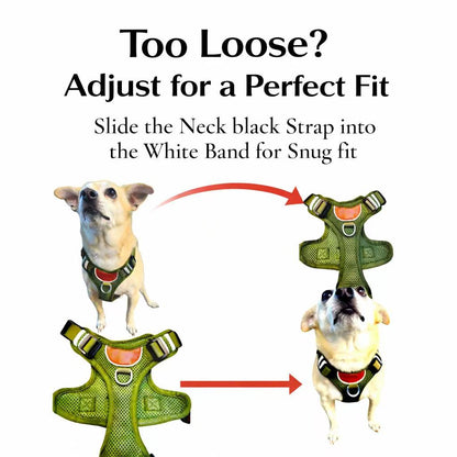 PawWave No-Pull Dog Harness with AirTag Holder adjustable dog vest plus Car safety leash set for small to large Dogs