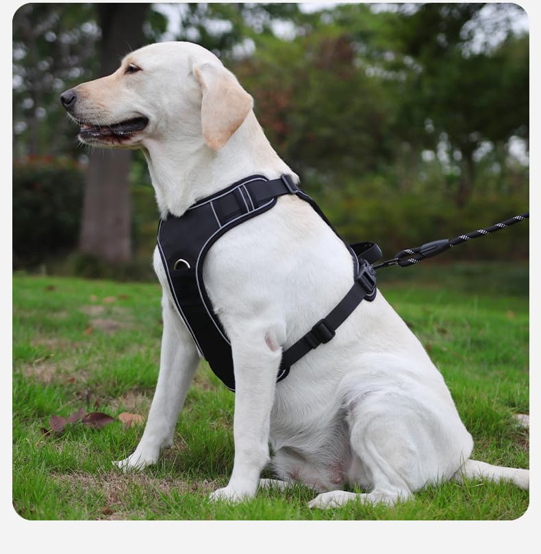 AirTag-Ready No-Pull Dog Harness with AirTag Holder-PawWave,Adjustable Reflective Vest for Medium & Large Dogs