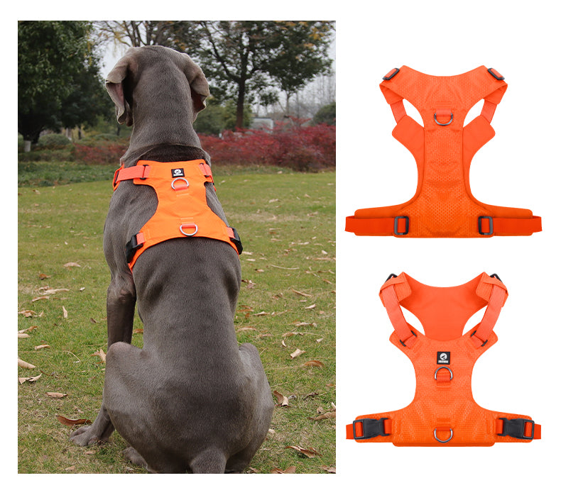 Heavy Duty Dog Harness, No Pull Design, Adjustable with D-Rings, Oxford Material