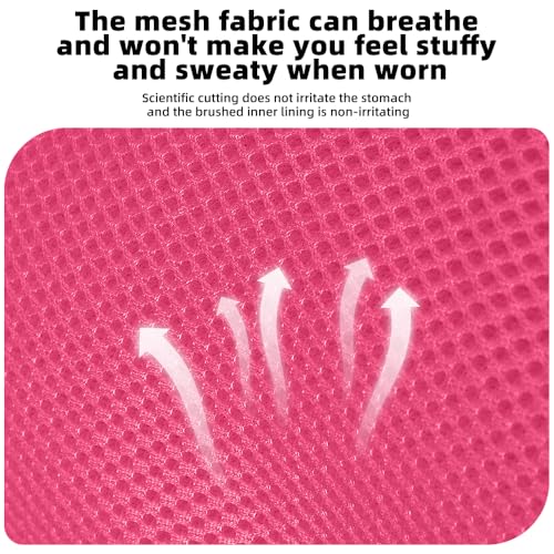 Luxury Gold Studded No Pull Dog Harness with Leash-Adjustable Chest Vest for Small & Medium Dogs, Stylish Padded Harness for Walking and Training