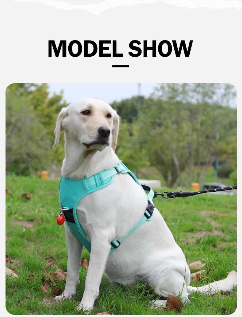 AirTag-Ready No-Pull Dog Harness with AirTag Holder-PawWave,Adjustable Reflective Vest for Medium & Large Dogs