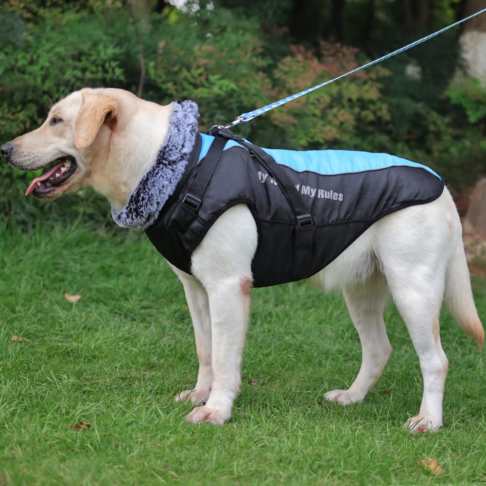 Waterproof Dog Winter Coat with Fur Collar, Reflective Details, Adjustable Straps, Black