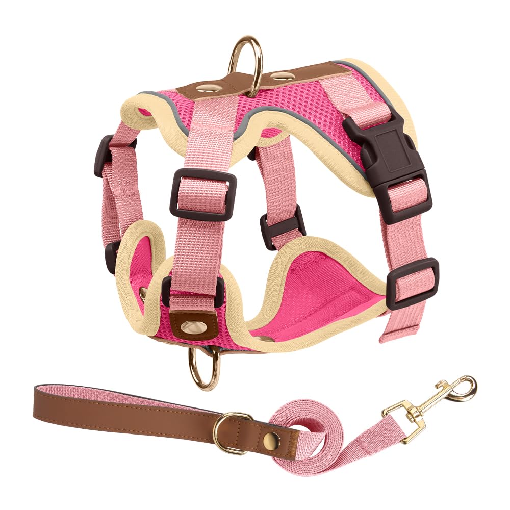 Luxury Gold Studded No Pull Dog Harness with Leash-Adjustable Chest Vest for Small & Medium Dogs, Stylish Padded Harness for Walking and Training