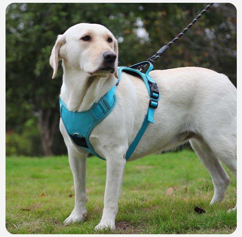 AirTag-Ready No-Pull Dog Harness with AirTag Holder-PawWave,Adjustable Reflective Vest for Medium & Large Dogs