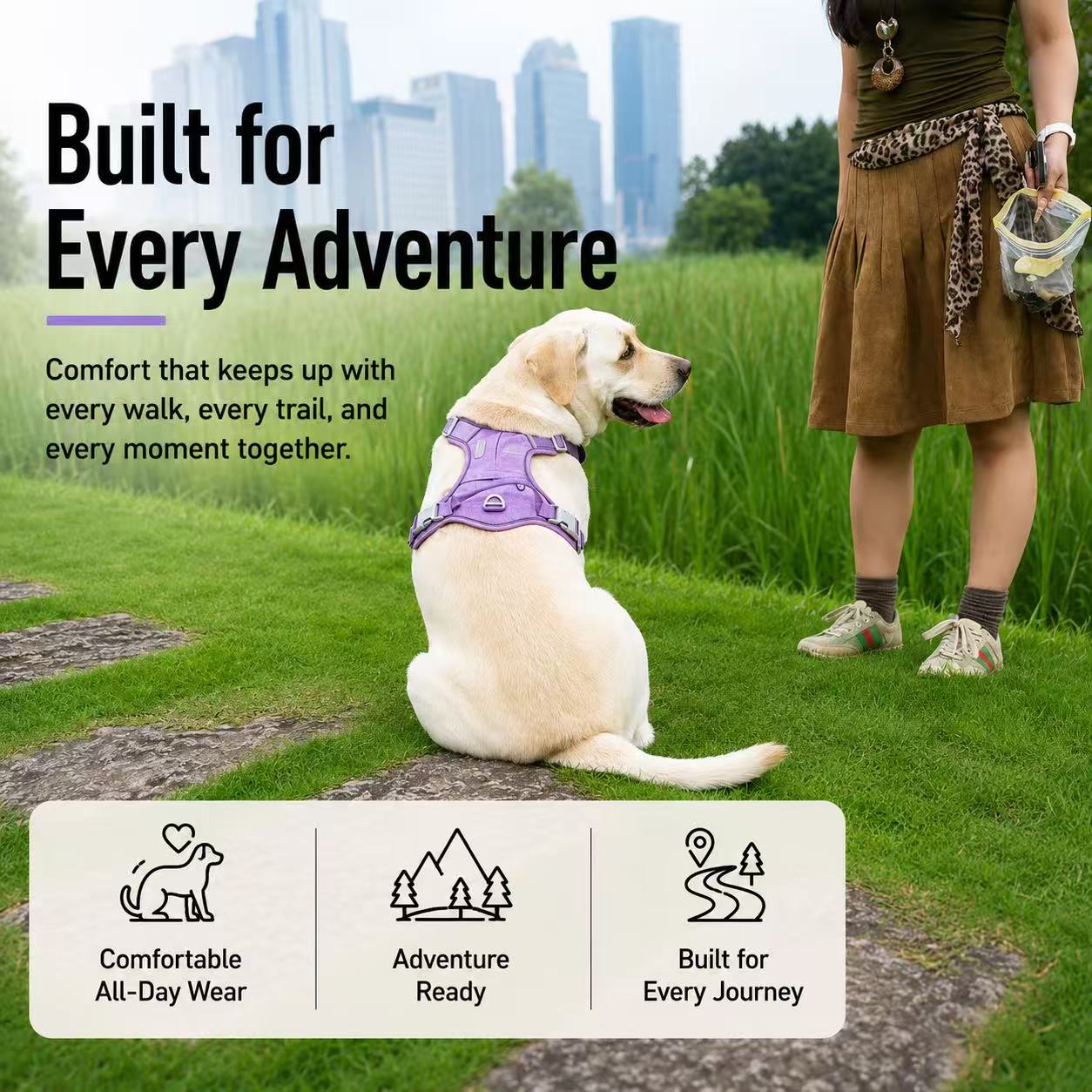 PawWave No Pull Dog Harness with Hidden Tracking Tag Holder– Soft Padded Reflective Vest plus Car Safety Leash set perfectly for small to Large Dogs