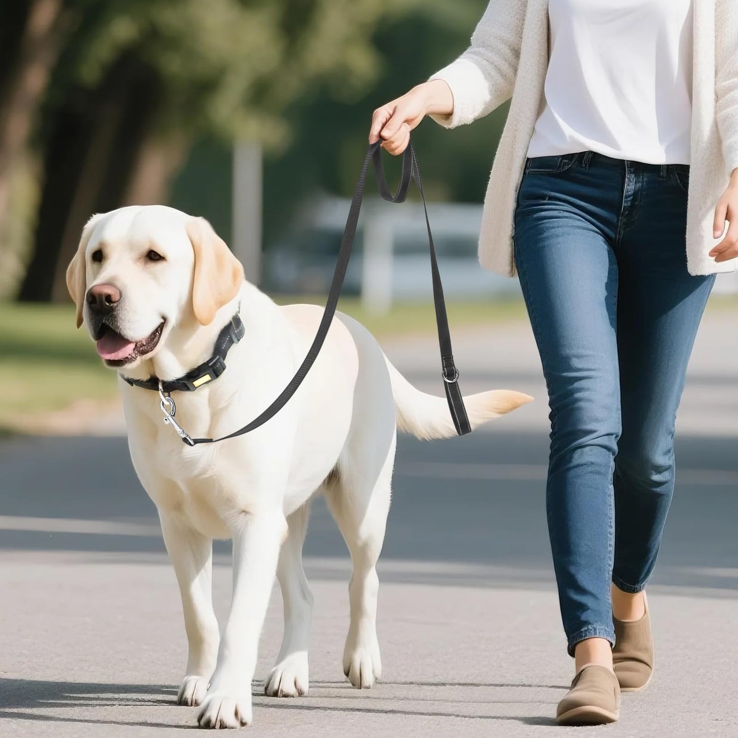 Dog Collar and Leash Set, Reflective with AirTag Holder, Padded Lining
