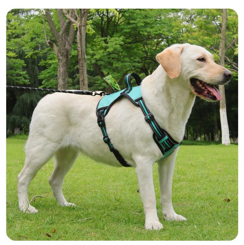 No-Pull Dog Harness with Storage Space, Reflective Design, Adjustable Straps, Oxford Cloth Material