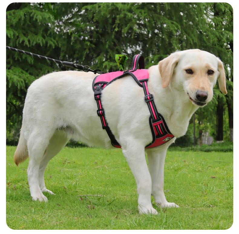 No-Pull Dog Harness with Storage Space, Reflective Design, Adjustable Straps, Oxford Cloth Material