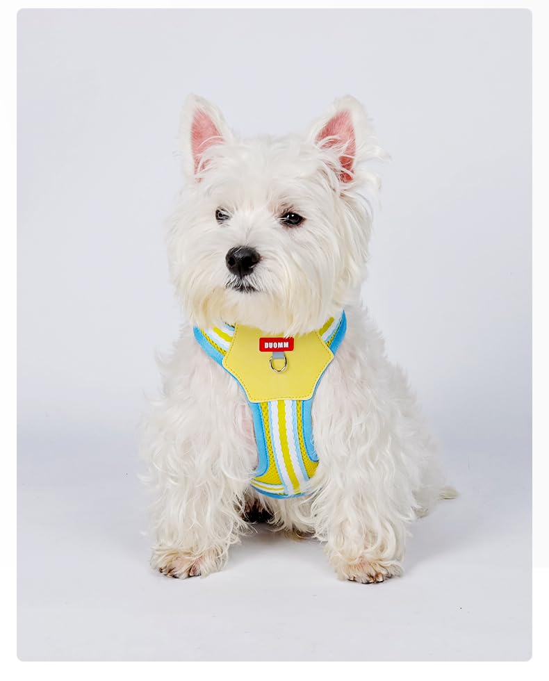 PawWave H Shape Dog Harness for Small and Medium Dogs, No Pull &, Escape-proff, Soft Mesh Vest, Adjustable Fit, Bright Yellow/Cream Blue/Sakura Pink,/Violet, XS-L