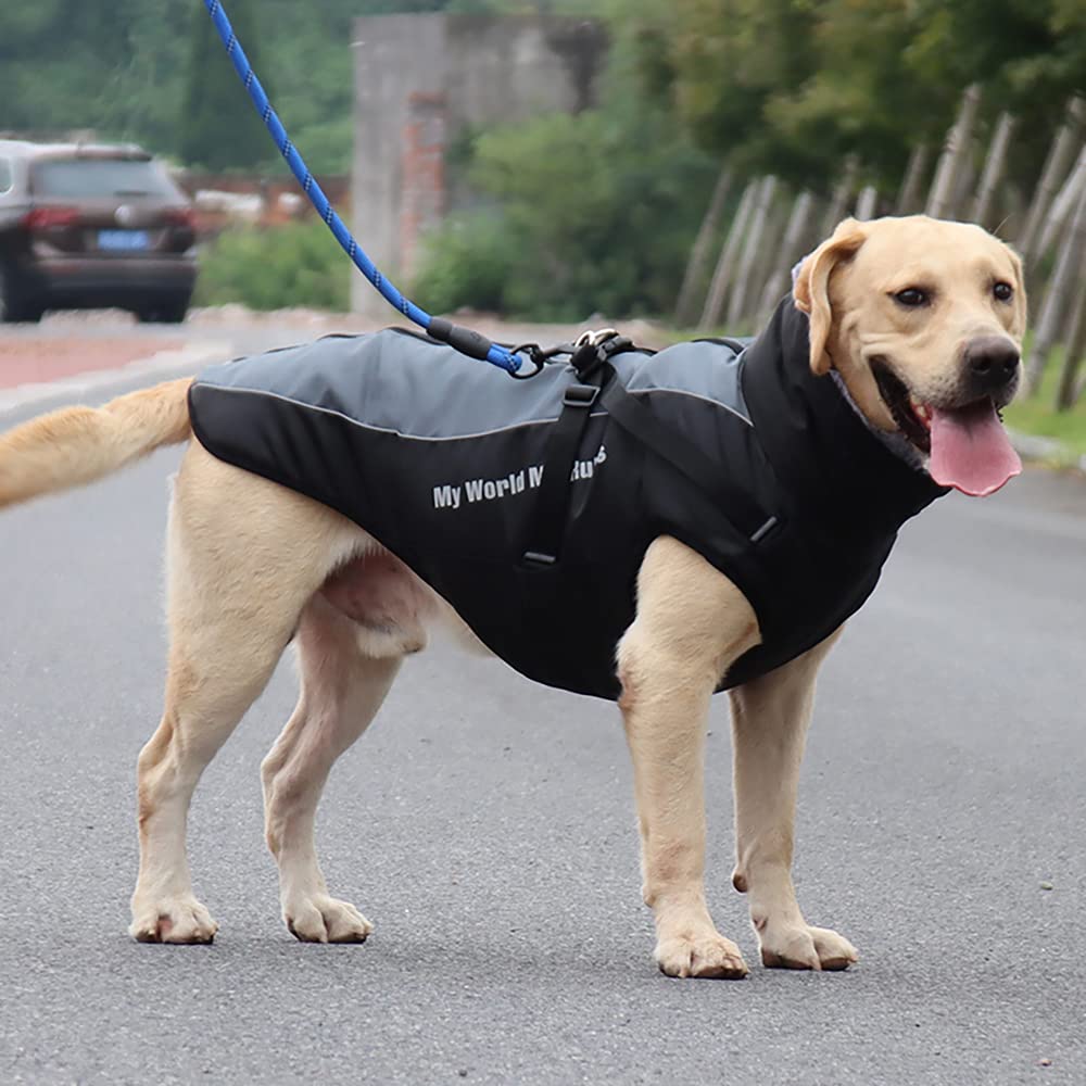 Waterproof Dog Winter Coat with Fur Collar, Reflective Details, Adjustable Straps, Black