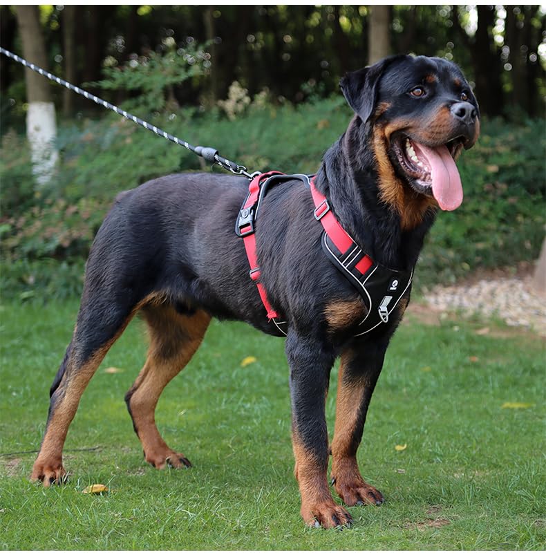 PawWave Tactical Dog Harness, Military-Style Working Dog Vest, Medium/Large Breeds, Black/Red