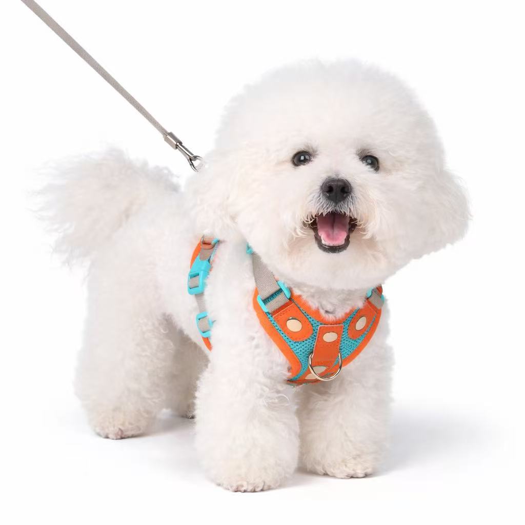 PawWave No-Pull Dog Harness, Leash and Car Safety Leash Set, Front Clip Lightweight Mesh Vest for Small and Medium Dogs