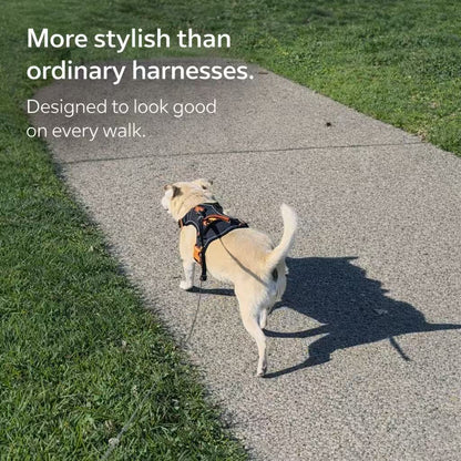 PawWave No pull Denim Dog Harness with Car Safety Leash set for daily stylish walks for small to Large Dogs