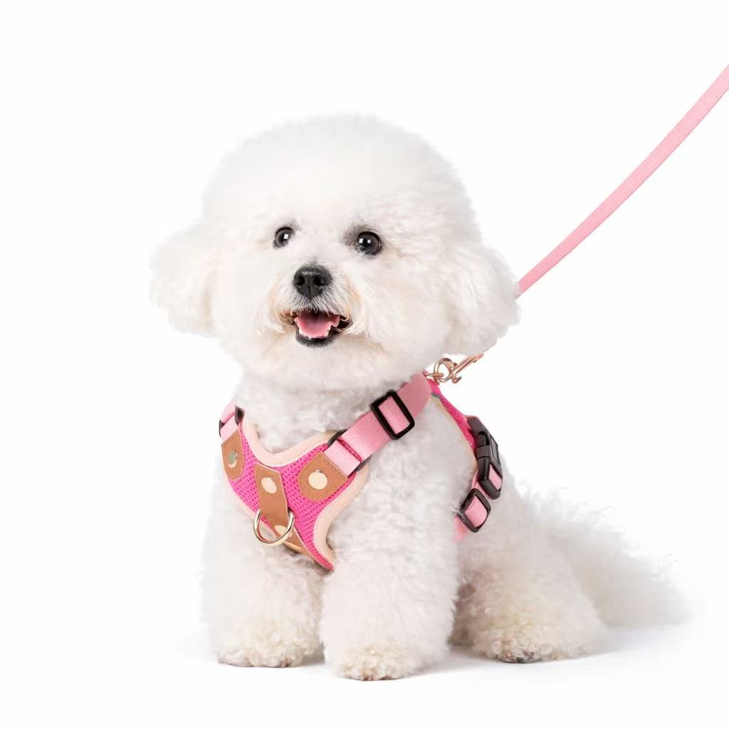 PawWave No-Pull Dog Harness, Leash and Car Safety Leash Set, Front Clip Lightweight Mesh Vest for Small and Medium Dogs