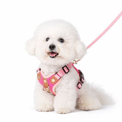 PawWave No-Pull Dog Harness, Leash and Car Safety Leash Set, Front Clip Lightweight Mesh Vest for Small and Medium Dogs