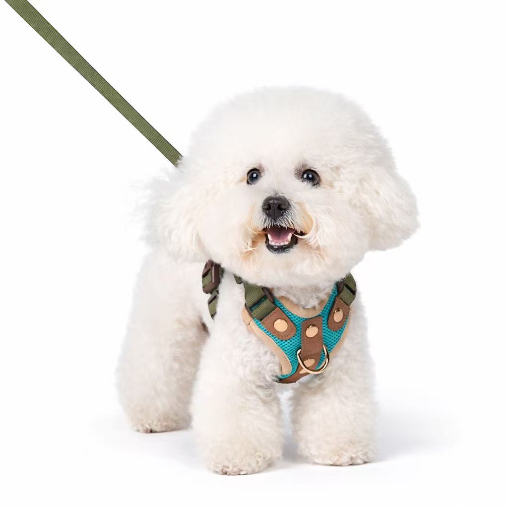 PawWave No-Pull Dog Harness, Leash and Car Safety Leash Set, Front Clip Lightweight Mesh Vest for Small and Medium Dogs