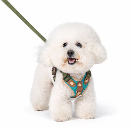 PawWave No-Pull Dog Harness, Leash and Car Safety Leash Set, Front Clip Lightweight Mesh Vest for Small and Medium Dogs