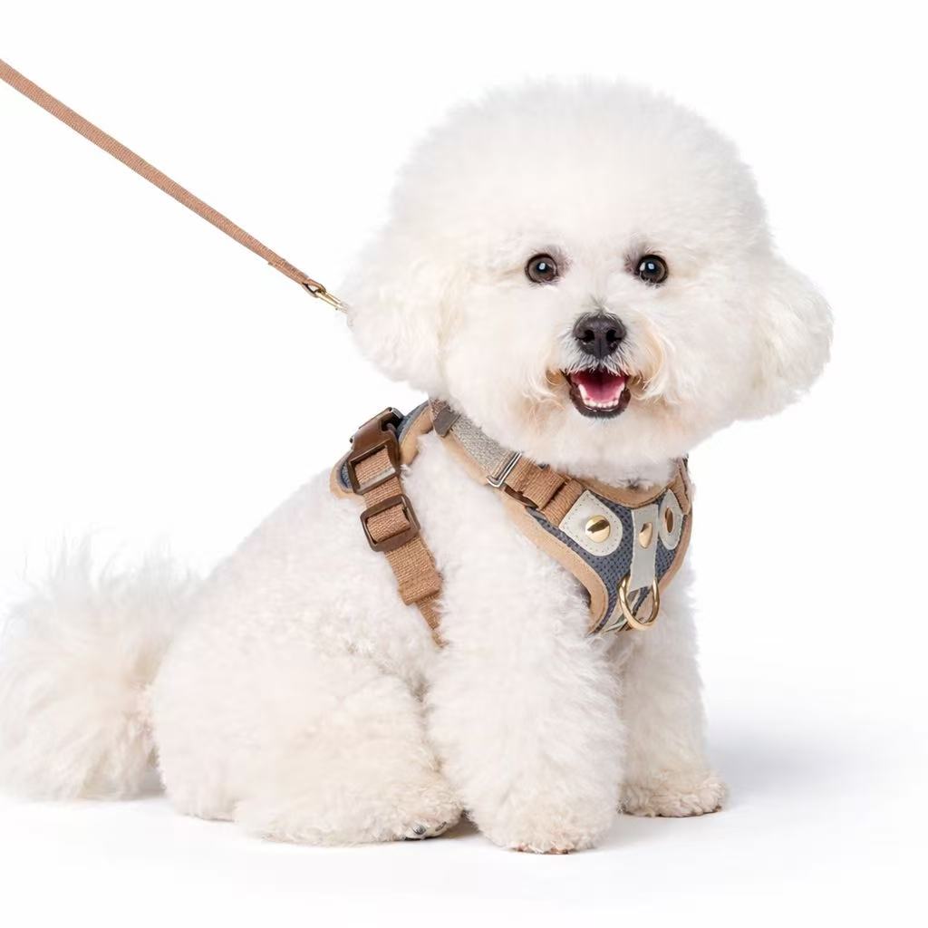 PawWave No-Pull Dog Harness, Leash and Car Safety Leash Set, Front Clip Lightweight Mesh Vest for Small and Medium Dogs