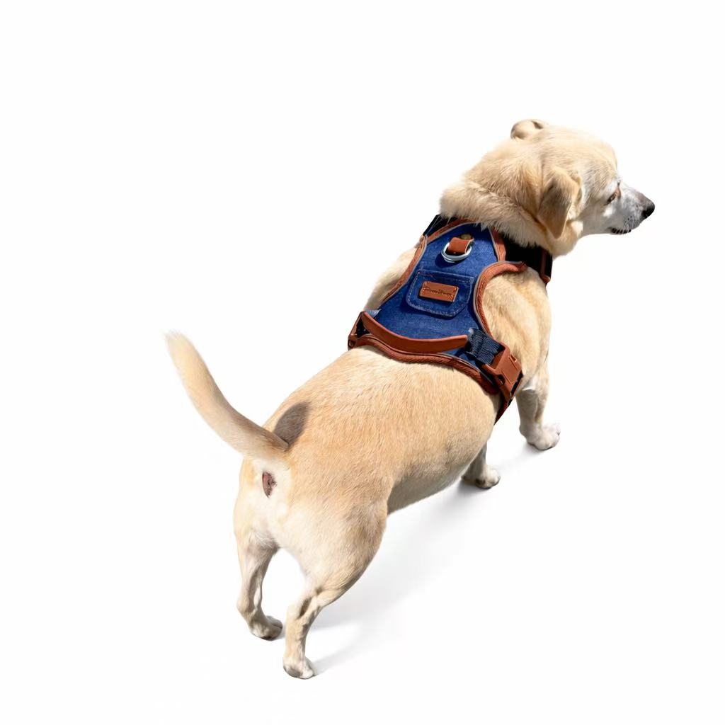 PawWave No pull Denim Dog Harness with Car Safety Leash set for daily stylish walks for small to Large Dogs