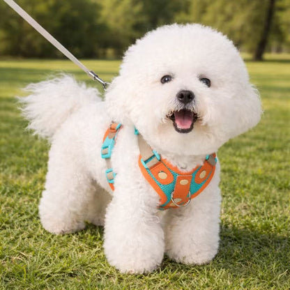 PawWave No-Pull Dog Harness, Leash and Car Safety Leash Set, Front Clip Lightweight Mesh Vest for Small and Medium Dogs