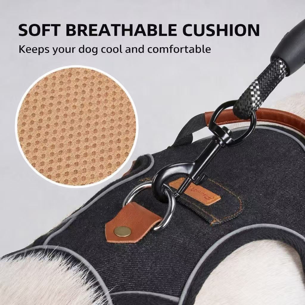 PawWave No pull Denim Dog Harness with Car Safety Leash set for daily stylish walks for small to Large Dogs