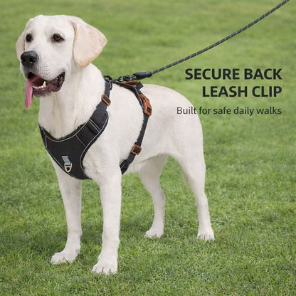 PawWave No pull Denim Dog Harness with Car Safety Leash set for daily stylish walks for small to Large Dogs