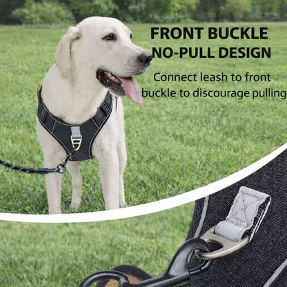 PawWave No pull Denim Dog Harness with Car Safety Leash set for daily stylish walks for small to Large Dogs