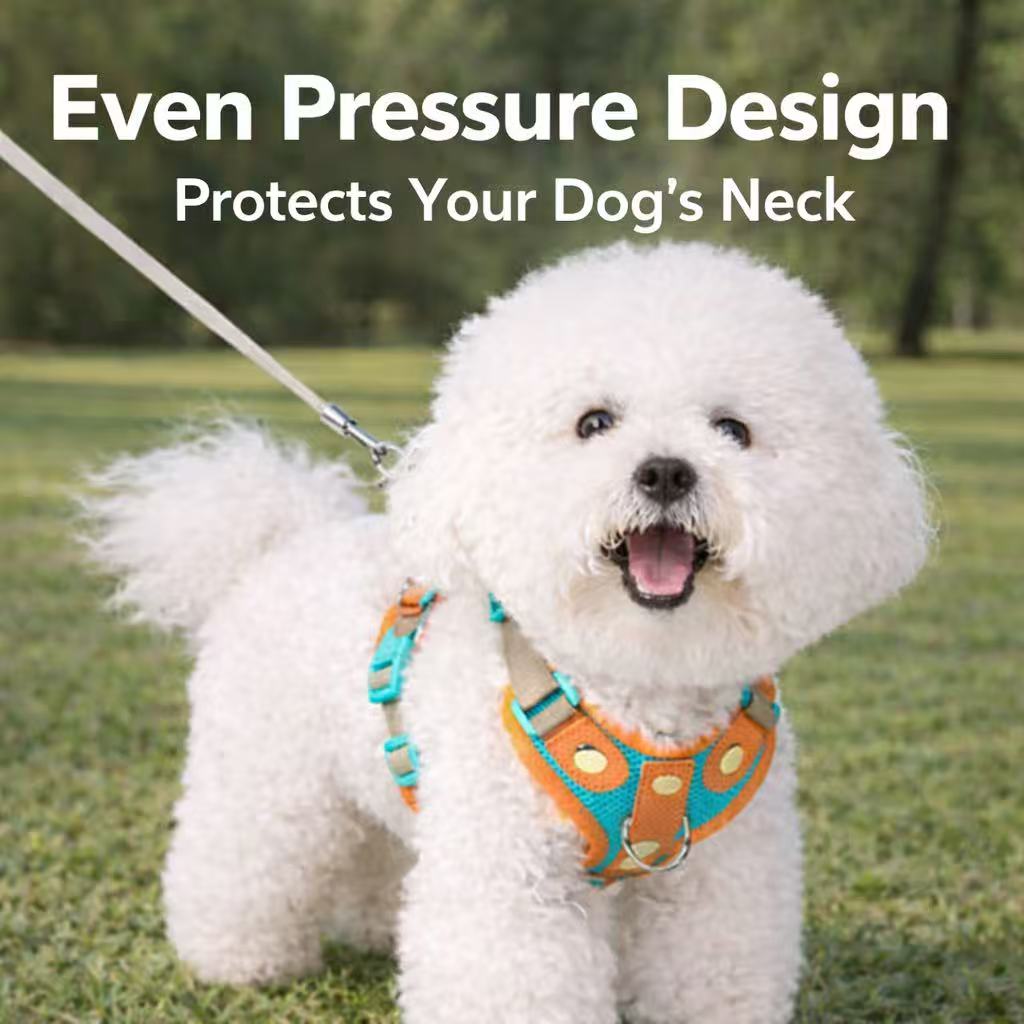 PawWave No-Pull Dog Harness, Leash and Car Safety Leash Set, Front Clip Lightweight Mesh Vest for Small and Medium Dogs