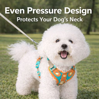 PawWave No-Pull Dog Harness, Leash and Car Safety Leash Set, Front Clip Lightweight Mesh Vest for Small and Medium Dogs