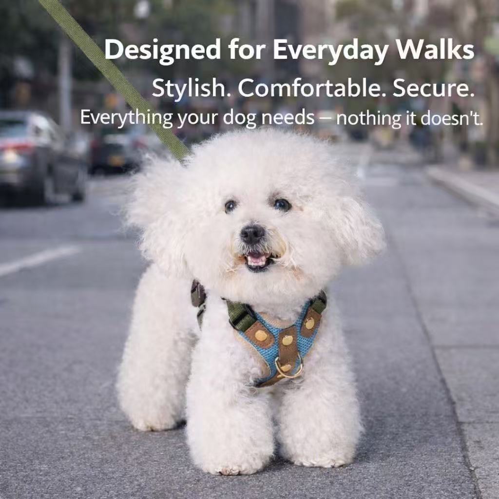 PawWave No-Pull Dog Harness, Leash and Car Safety Leash Set, Front Clip Lightweight Mesh Vest for Small and Medium Dogs