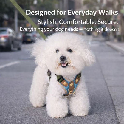 PawWave No-Pull Dog Harness, Leash and Car Safety Leash Set, Front Clip Lightweight Mesh Vest for Small and Medium Dogs