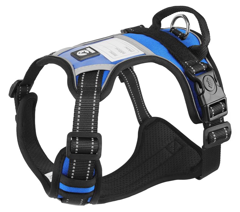 No-Pull Dog Harness with Safety Features, Reflective Stitching, Metal Ring, Blue and Black