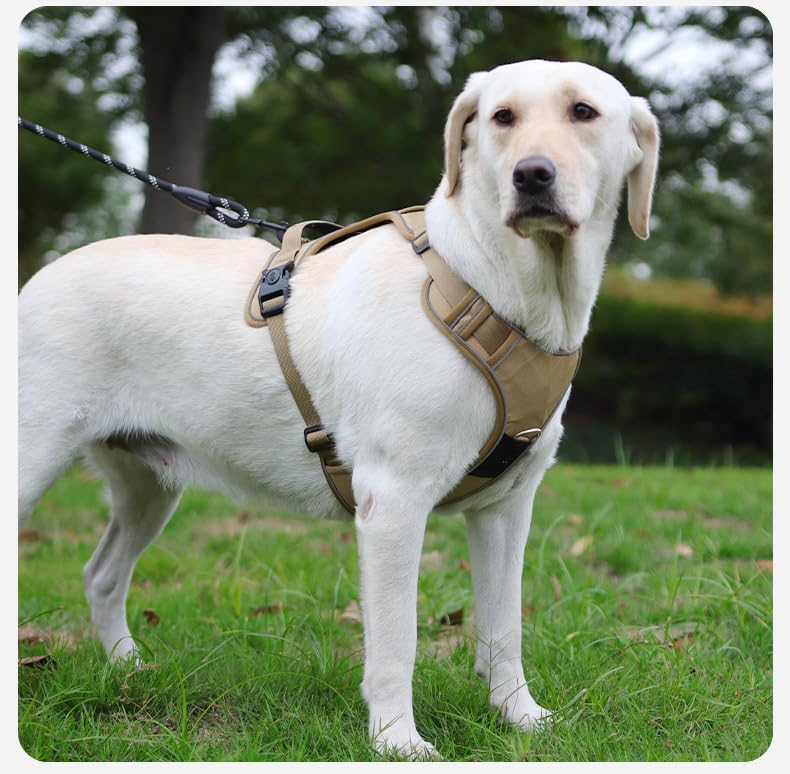 AirTag-Ready No-Pull Dog Harness with AirTag Holder-PawWave,Adjustable Reflective Vest for Medium & Large Dogs