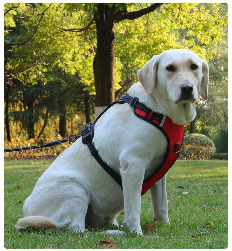 No-Pull Dog Harness with Safety Features, Reflective Stitching, Metal Ring, Blue and Black
