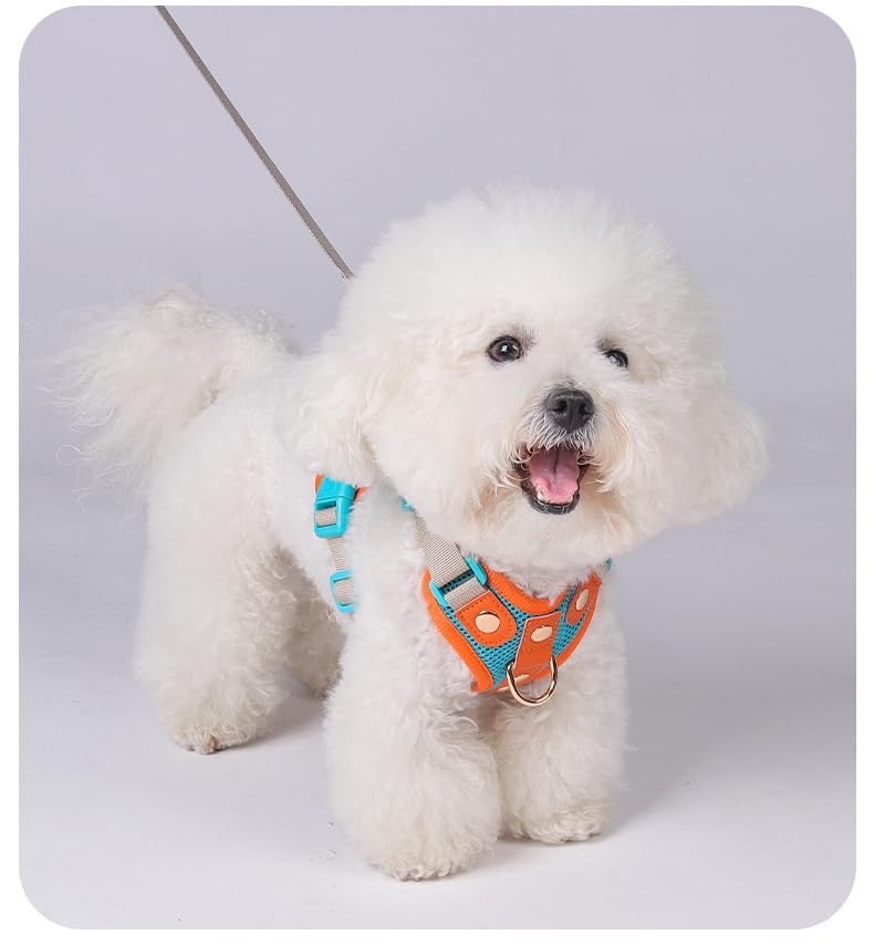 Luxury Gold Studded No Pull Dog Harness with Leash-Adjustable Chest Vest for Small & Medium Dogs, Stylish Padded Harness for Walking and Training