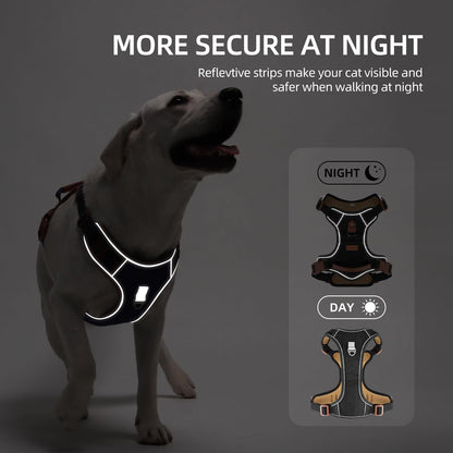 PawWave No pull Denim Dog Harness with Car Safety Leash set for daily stylish walks for small to Large Dogs