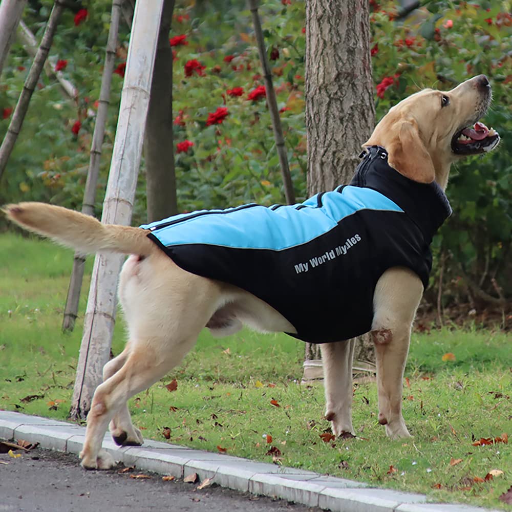 Waterproof Dog Winter Coat with Fur Collar, Reflective Details, Adjustable Straps, Black