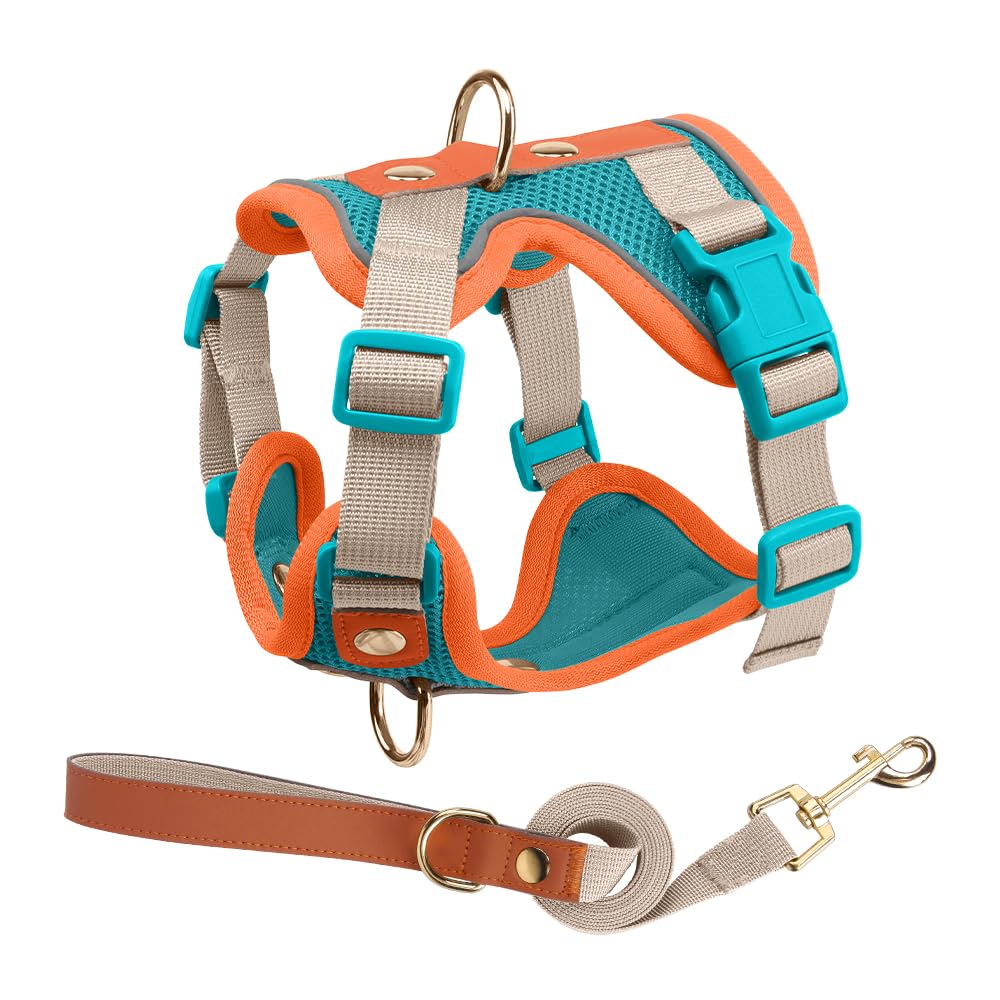 Luxury Gold Studded No Pull Dog Harness with Leash-Adjustable Chest Vest for Small & Medium Dogs, Stylish Padded Harness for Walking and Training