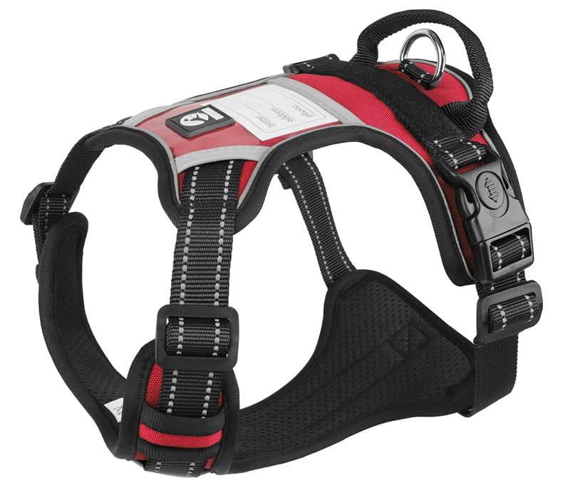 No-Pull Dog Harness with Safety Features, Reflective Stitching, Metal Ring, Blue and Black