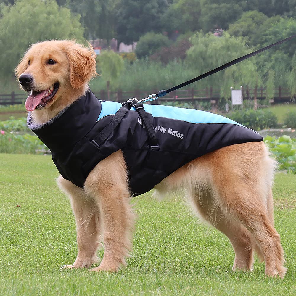 Waterproof Dog Winter Coat with Fur Collar, Reflective Details, Adjustable Straps, Black