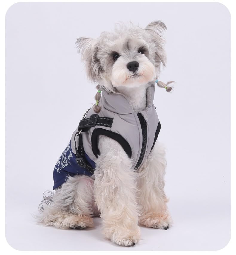 Winter Waterproof Dog Coat – Reflective, Color-Block Warm Jacket for Small & Medium Dogs