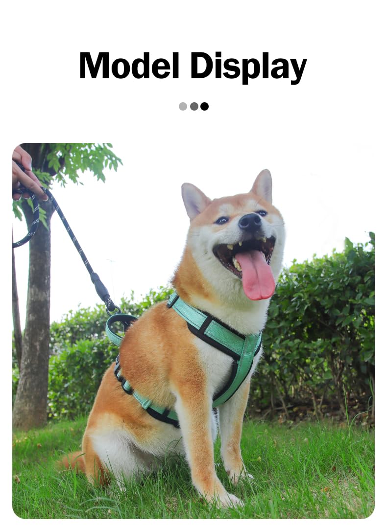 All-Season No-Pull Dog Harnessss for Walking, Training & Travel. Medium and Large Dogs